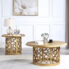 HD-8913-GOLD-SET (1)